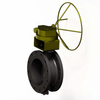 Butterfly Valve