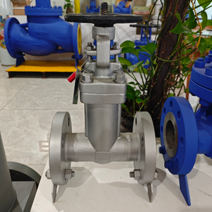 Bellows Stop Valve 1