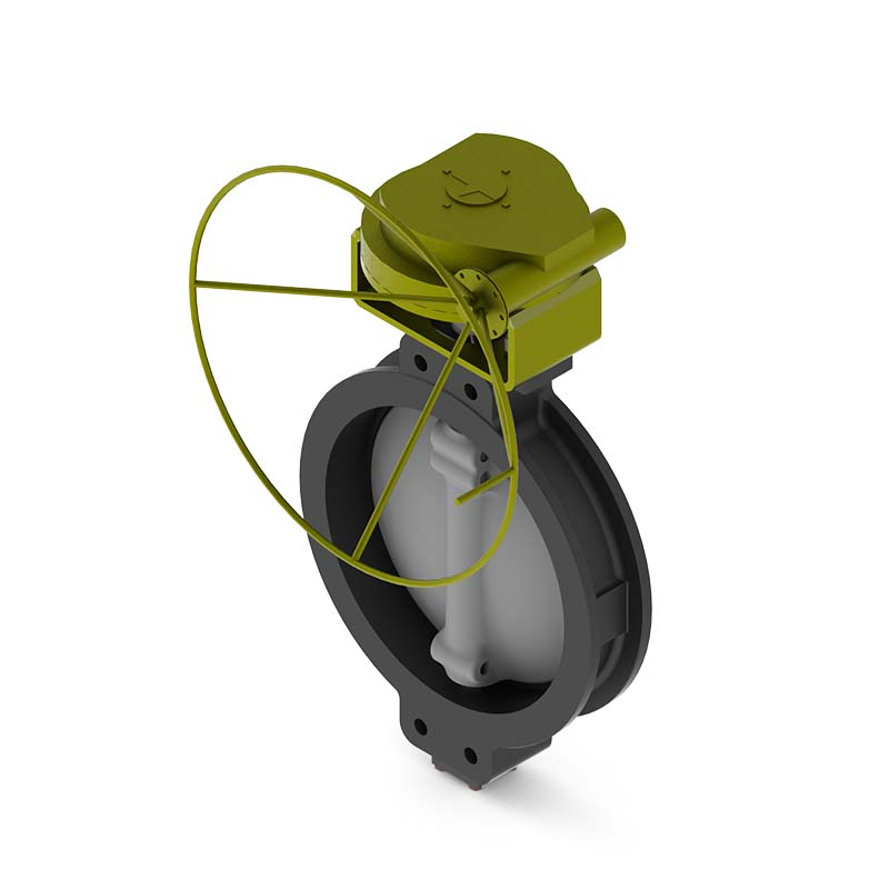Butterfly Valve