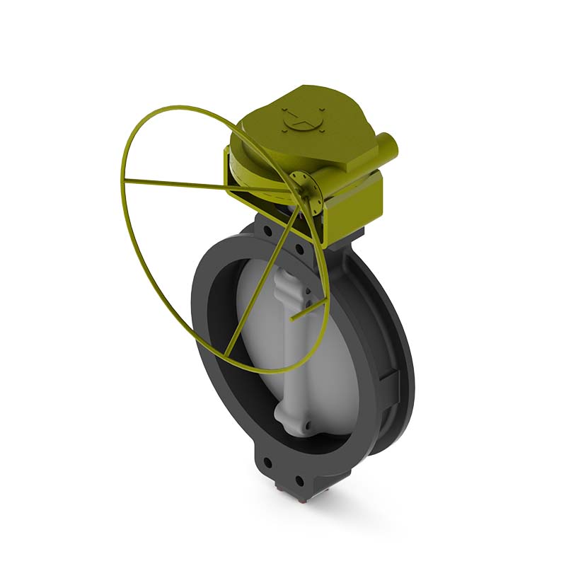Butterfly Valve