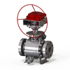 Trunniun Mounted Ball Valve