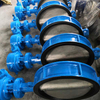 Butterfly Valve