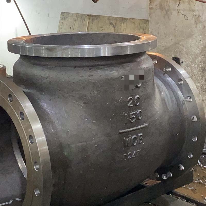 Check Valve