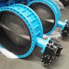 Butterfly Valve