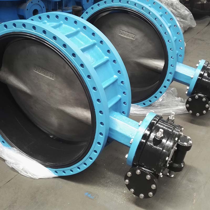 Butterfly Valve