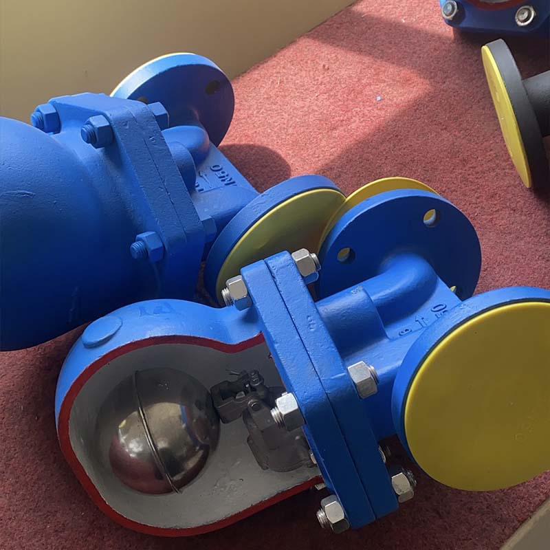 Steam Trap